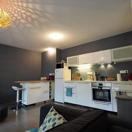 Bel Proche Centre Avec Terrasse Et Parking Pour 6 Personnes A - Fr-1-474-63 Apartment