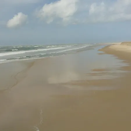 Arcachon, 3 Pièces, 6 Personnes - Fr-1-474-63 *